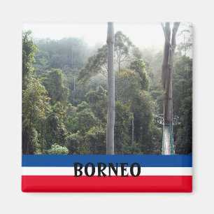 Aimant Souvenir Pittoresque de Bornéo Rainforest Jungle