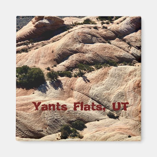 Aimant souvenir : Yants Flats, St. George, UT (Devant)