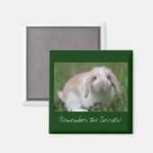 Aimant Souviens-toi des carottes ! Bunny (Recto/Verso)