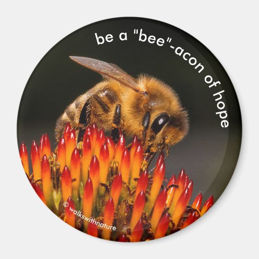 Aimant Soyez un "Bee" Bacon de l'Espoir Bee sur Echinacea (Devant)