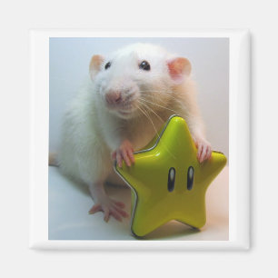 Aimant Soyez votre propre étoile