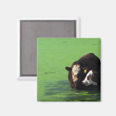 Aimant Spa Bovine (Recto/Verso)