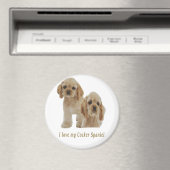 Aimant spaniers cocker (In Situ (Lave-vaisselle))