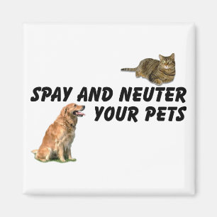 Aimant Spay and Neuter