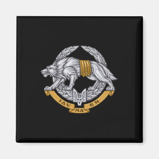 Aimant Special Operations Forces Ukraine Military Spetsna