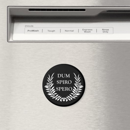 Aimant sperme spiro (In Situ (Lave-vaisselle))