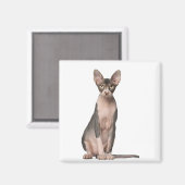 Aimant Sphynx (7 months old) sitting (Recto/Verso)