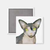 Aimant Sphynx Cat Ninja Carré blanc (Recto/Verso)