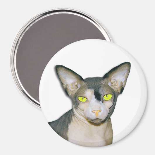 Aimant Sphynx Cat Ninja White Round (Recto/Verso)