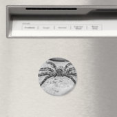 Aimant Spider Huntsman (In Situ (Lave-vaisselle))