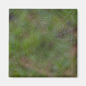 Aimant Spiderweb avec Droplets (Devant)