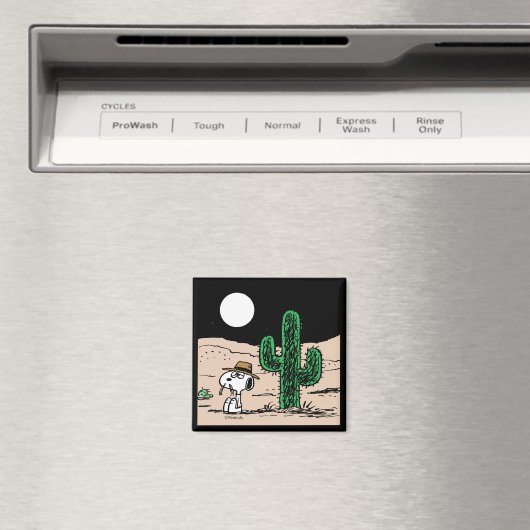 Aimant Spike dans un désert illuminé par la Lune (In Situ (Lave-vaisselle))