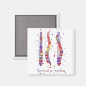 Aimant Spine (Recto/Verso)