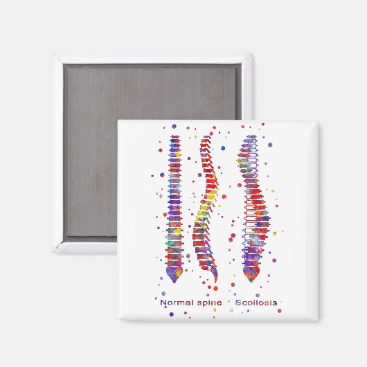 Aimant Spine (Recto/Verso)