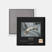 Aimant Spine (Recto/Verso)