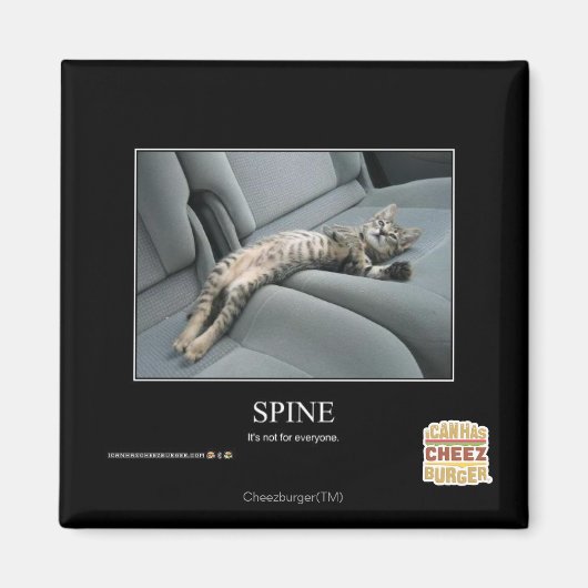 Aimant Spine (Devant)