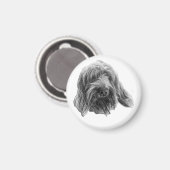Aimant Spinone Calme du Cellier (Recto/Verso)