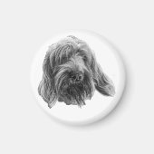 Aimant Spinone Calme du Cellier (Devant)