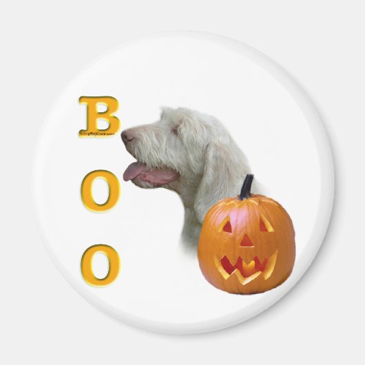 Aimant Spinone Italiano Boo (Devant)