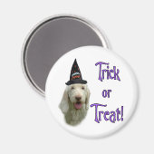 Aimant Spinone Italiano Trick (Recto/Verso)