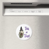 Aimant Spinone Italiano Trick (In Situ (Lave-vaisselle))