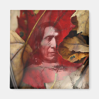 Aimant spirales foliaires par gregory gallo