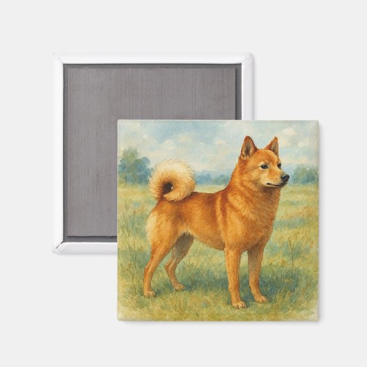 Aimant Spitz finlandais (Recto/Verso)