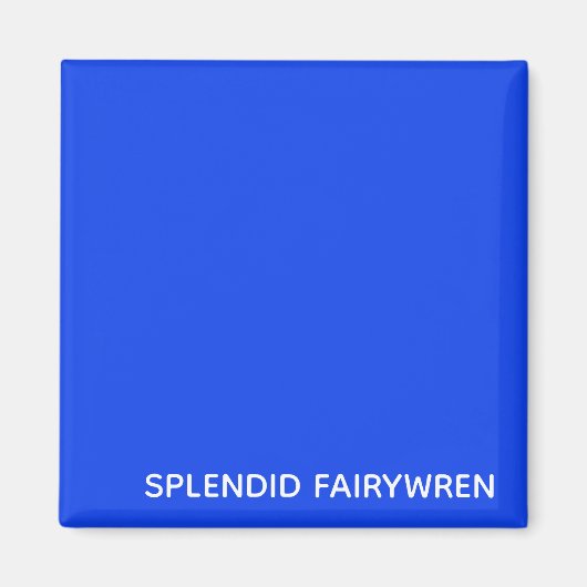 Aimant Splendid Fairywren Blue Colour (Devant)