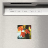 Aimant Splendor d'automne (In Situ (Lave-vaisselle))