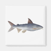 Aimant Spotted Catfish (Devant)