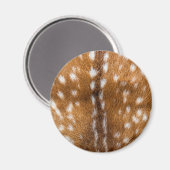 Aimant Spotted deer pour texture (Recto/Verso)