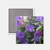 Aimant Spring Morning Glories en bleu (Recto/Verso)