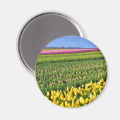 Aimant Spring tulips field (Recto/Verso)