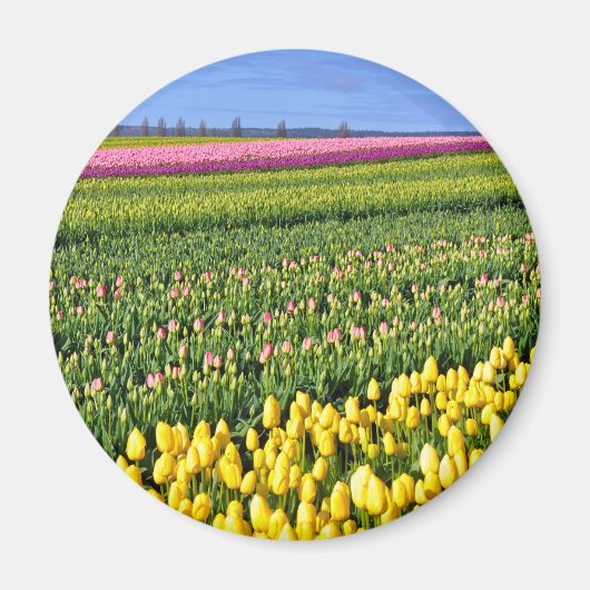 Aimant Spring tulips field (Devant)