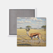 Aimant Springbok Etosha National Park Namibia Travel (Recto/Verso)