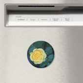 Aimant springpics 017 (In Situ (Lave-vaisselle))