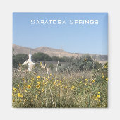 Aimant Springs de Saratoga (Devant)