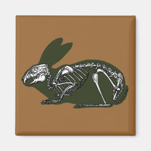 Aimant squelette de lapin