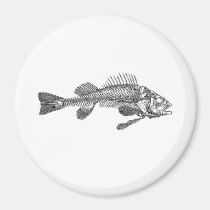 Aimant Squelette de poisson