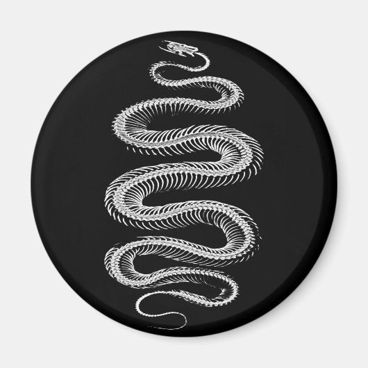 Aimant Squelette de serpent coulissant (Devant)