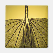 Aimant Squelette feuille (Devant)