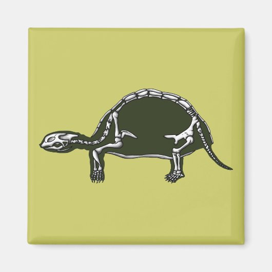Aimant squelette tortue (Devant)