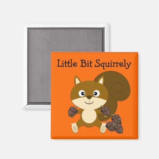 Aimant Squily (Recto/Verso)