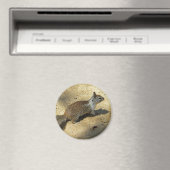 Aimant Squirrell (In Situ (Lave-vaisselle))