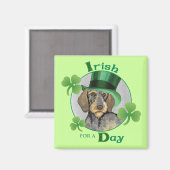 Aimant St. Patrick's Day À poils durs Dachshund (Recto/Verso)