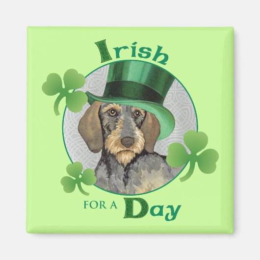 Aimant St. Patrick's Day À poils durs Dachshund (Devant)