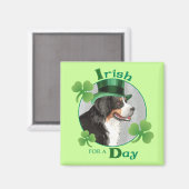 Aimant St. Patrick's Day Berner (Recto/Verso)