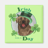 Aimant St. Patrick's Day Chocolate Lab (Devant)