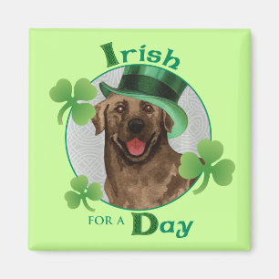 Aimant St. Patrick's Day Chocolate Lab