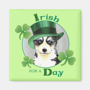 Aimant St. Patrick's Day Husky